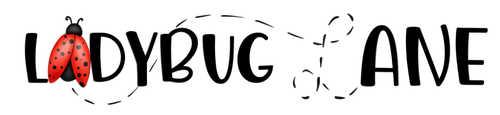 Ladybug Lane Boutique 